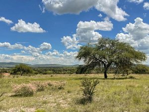 Panoramic Views, Privacy, and Flexibility from La Vivienda