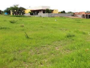 Villas de Vergel Lotes