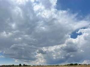 Hermoso lote en cieneguita