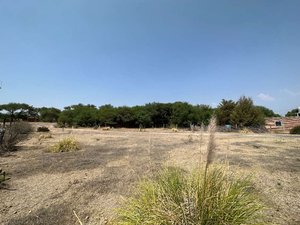 Terreno De Aves