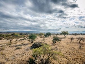 LOTE CRUZ DEL PALMAR