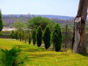 Lot 6- Rancho La Loma