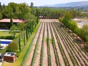 Casa con Viñedo, RLL (Lot 5)
