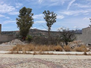 Lote A Allende Residencial