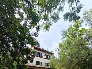 Casa Persea