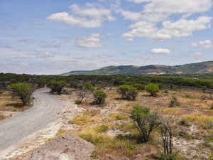 La Caridad Lots For Sale