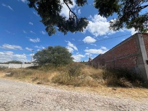 Lote Sol Y Sombra