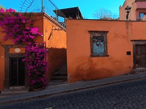 Terreno Salida Real A Querétaro 42