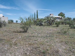 Lote Ceacatl TEMAZCALLIS 2