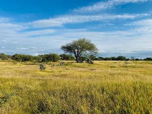 2.5 Hectares of premium Housing land