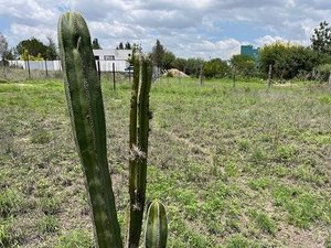 Terreno Perfecto para Construir la Casa de Tus Sueños en Cieneguita