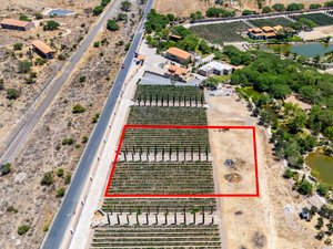 Viñedos Patria Finca 16