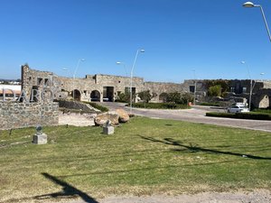 Homesite - Frida Kahlo