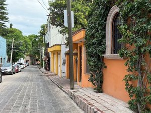 Potranca Fixer Upper