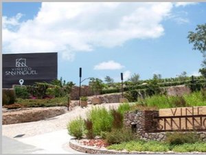 Lote 7 Manzana 7 Viñedo San Miguel Circuito Merlot Poniente