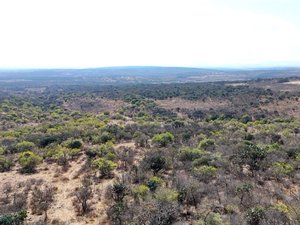 Hectáreas Ojo Zarco