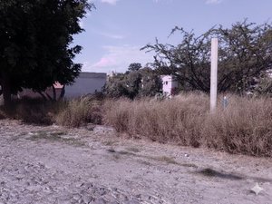 Homesite MAYORAZGO #6