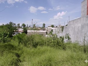 Homesite MAYORAZGO #8