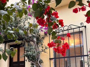 Casa Infonavit Malanquin