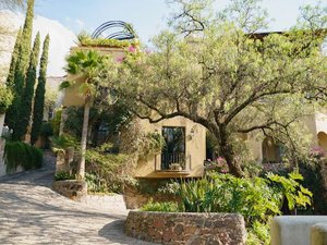 Canadita de los Aguacates 4 Int 4