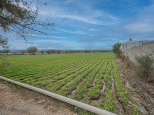One Hectare in El Ejido de Vivienda