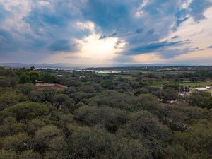 Lote Pedro Paramo 26