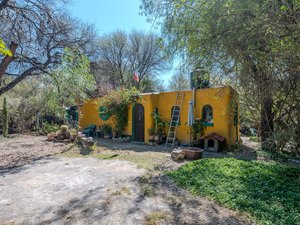 Lil House in the Woods