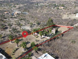 Ranchito Palo Dulzar