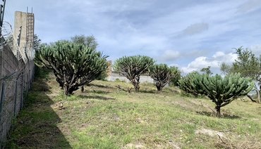 Escape to tranquility! Your dream lot awaits in the outskirts of San Miguel de Allende.