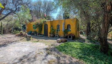 Lil House in the Woods