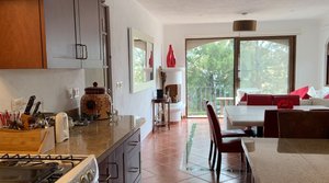 Alicia Penthouse Apartment  for Rent in Puente Viejo Available April 2027 – San Miguel de Allende real estate photo 2