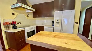 Diego's place for rent in Puente viejo (Available June, July and August 2026) – San Miguel de Allende real estate photo 3