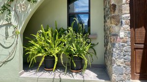 Casa en Renta en Tierra Adentro. – San Miguel de Allende real estate photo 1