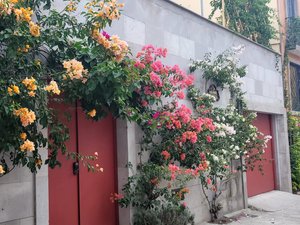 Casita cascada de Colibri. DISPONIBLE A PARTIR DE ABRIL 2026