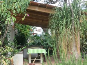 The Tree House 
