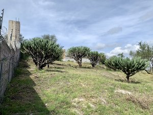 Escape to tranquility! Your dream lot awaits in the outskirts of San Miguel de Allende.