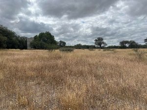 Lote Terra