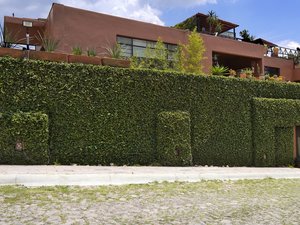 4002 Casa Raul