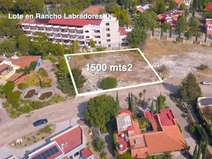 Lote Mariposas