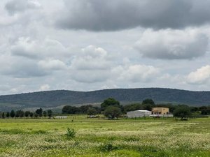 Rancho Quijote