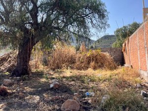 Terreno ALcocer