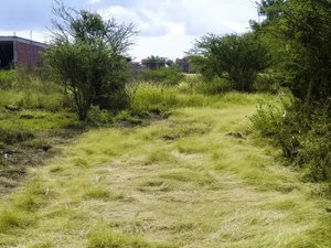 Homesite San Virgilio