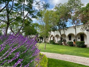 Los Remedios Malbec 512