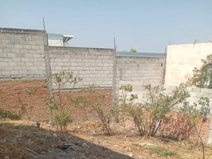 LOTE VERACRUZ