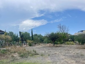 Lote Los Labradores
