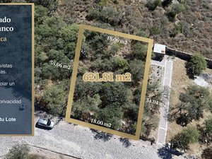 Lote 8