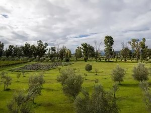 Lote Santa Lucia