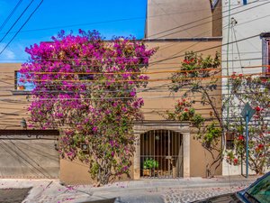 Casa Cuauhtemoc Available: March 1st to November, 2027