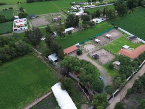 Los Pinos