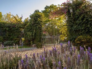 AltaVista Lot 15 – 1,168 m² | Luxury Lot in Eco-Conscious Community